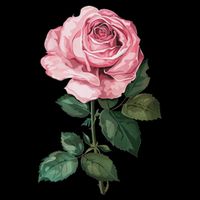199 Flowers Rose Kids Sweatshirt