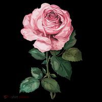 199 Flowers Rose Kids T-Shirt