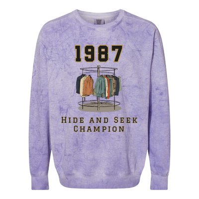 1987 Hide And Seek Champion Colorblast Crewneck Sweatshirt