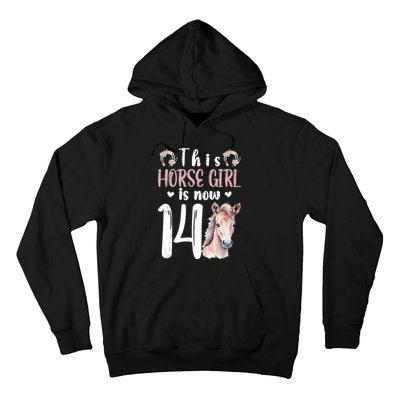 14th Horse Birthday Party 14 Year Old Girl Horses Birthday Hoodie