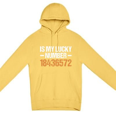 18436572 Is My Lucky Number V8 Engine Gift Premium Pullover Hoodie