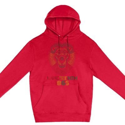 1865 Juneteenth Celebrate Lion African American Freedom Day Premium Pullover Hoodie