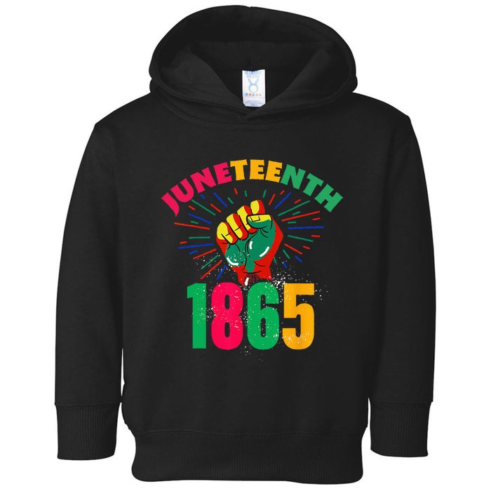 1865 Juneteenth Celebrate African American Freedom Day Toddler Hoodie