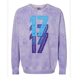 17 Lucky Number 17th Year Birthday Age Sports Team Colorblast Crewneck Sweatshirt