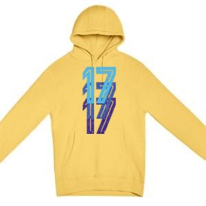 17 Lucky Number 17th Year Birthday Age Sports Team Premium Pullover Hoodie