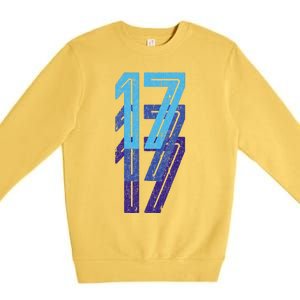 17 Lucky Number 17th Year Birthday Age Sports Team Premium Crewneck Sweatshirt