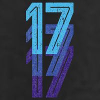 17 Lucky Number 17th Year Birthday Age Sports Team Adult Drive Performance Visor
