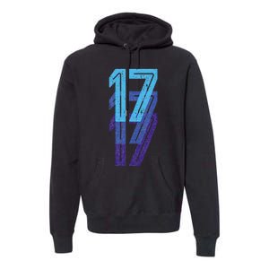 17 Lucky Number 17th Year Birthday Age Sports Team Premium Hoodie