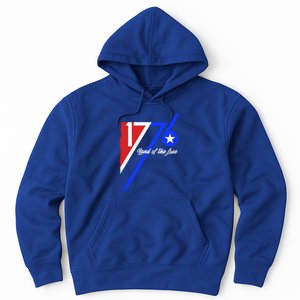 1776 Land Of The Free Independence Day 4th Of July Retro Gift Hoodie