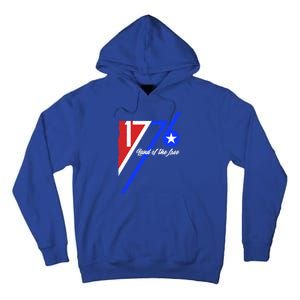 1776 Land Of The Free Independence Day 4th Of July Retro Gift Tall Hoodie