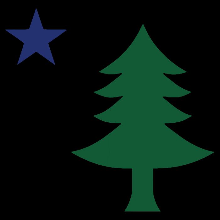 1901 Old First Flag Of Maine Pine Tree And Star 7-Panel Snapback Hat