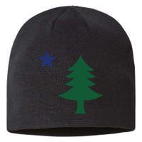1901 Old First Flag Of Maine Pine Tree And Star Sustainable Beanie