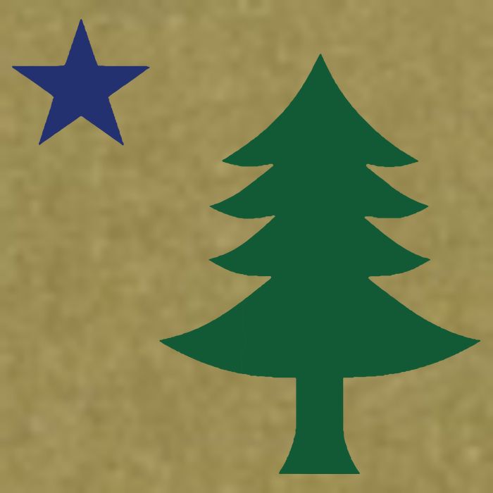 1901 Old First Flag Of Maine Pine Tree And Star Garment-Dyed Women's Muscle Tee