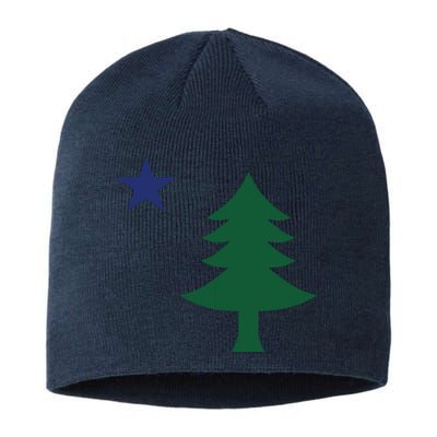 1901 Old First Flag Of Maine Pine Tree And Star Sustainable Beanie