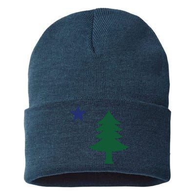 1901 Old First Flag Of Maine Pine Tree And Star Sustainable Knit Beanie