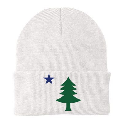 1901 Old First Flag Of Maine Pine Tree And Star Knit Cap Winter Beanie