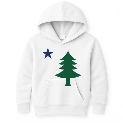 1901 Old First Flag Of Maine Pine Tree And Star Kids Hoodie