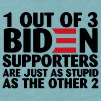 1 Out Of 3 Biden Supporters Are Just As Stupid Sueded Cloud Jersey T-Shirt