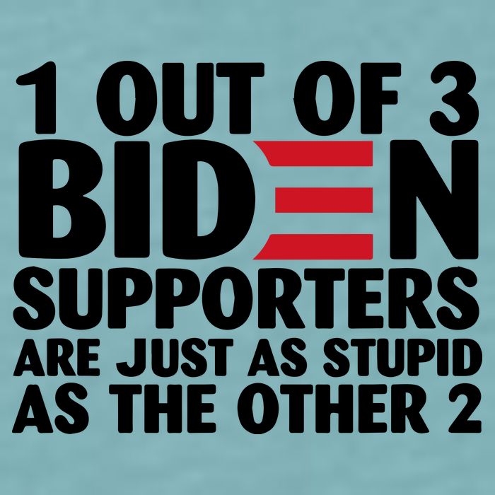 1 Out Of 3 Biden Supporters Are Just As Stupid Sueded Cloud Jersey T-Shirt