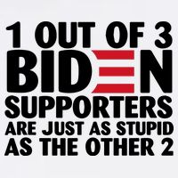 1 Out Of 3 Biden Supporters Are Just As Stupid Flatbill Hat