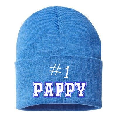 #1 Pappy Fathers Day Present Daddy Pa American Dad Cute Gift Sustainable Knit Beanie