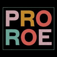 1973 P.R.O R.O.E P.R.O C.H.O.I.C.E Feminist Button