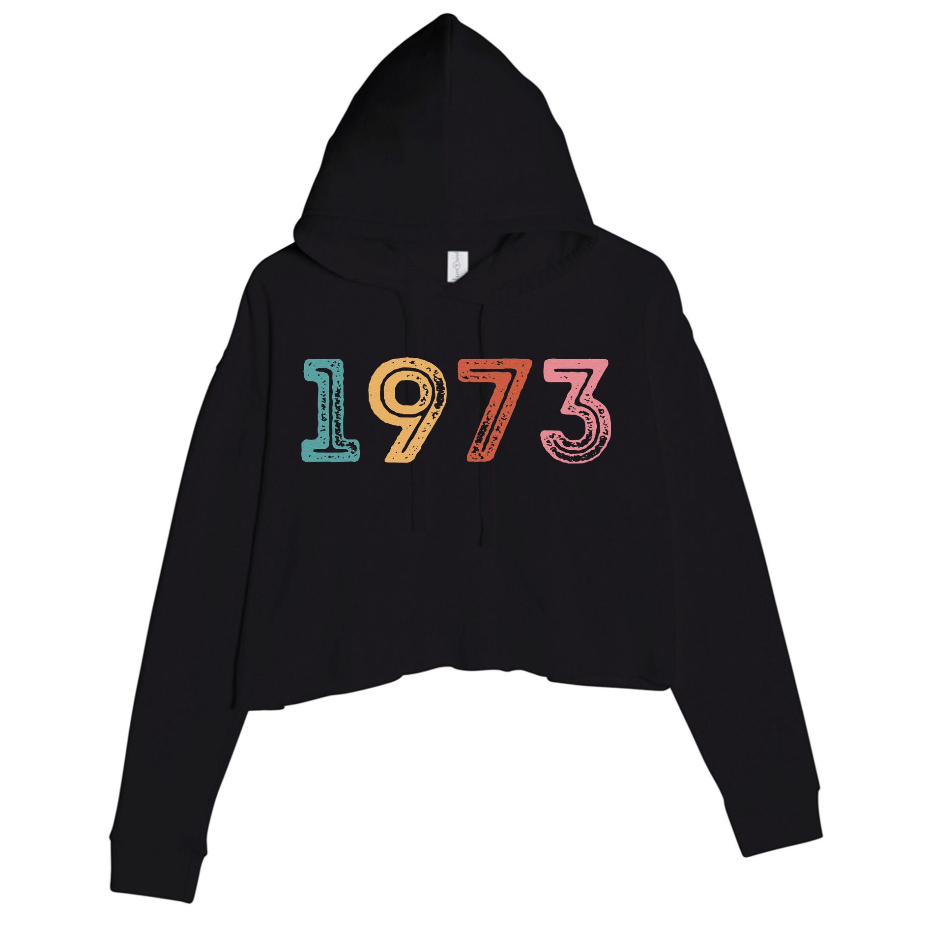 1973 Pro Roe Pro Vintage Choice Women Rights Feminist Crop Fleece Hoodie