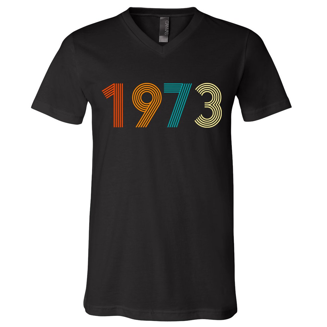 1973 Roe V Wade V-Neck T-Shirt