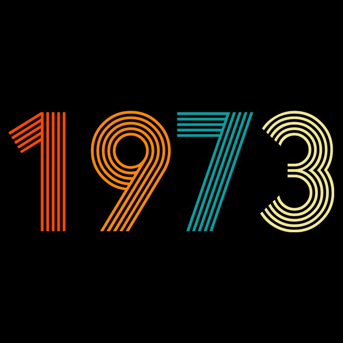 1973 Roe V Wade V-Neck T-Shirt