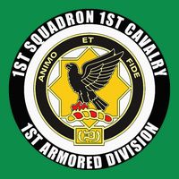 1st Squadron 1st Cavalry 1st Armored Division Veteran Button