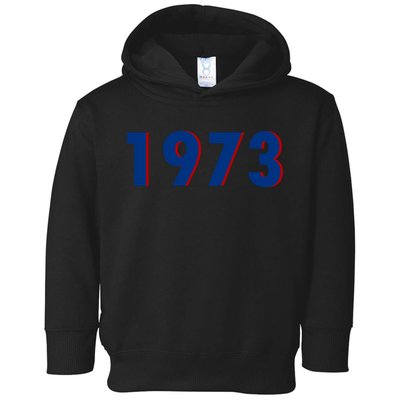 1973 Support Roe V Wade Pro Choice Pro Roe Women's Rights Toddler Hoodie