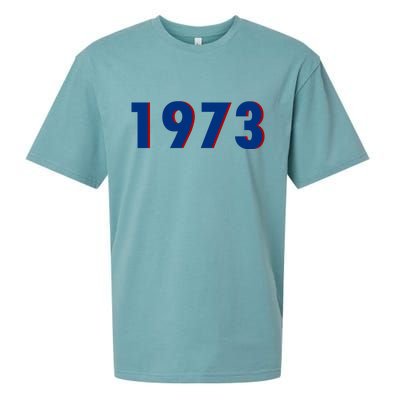 1973 Support Roe V Wade Pro Choice Pro Roe Women's Rights Sueded Cloud Jersey T-Shirt