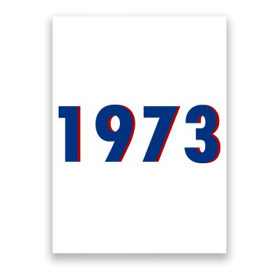 1973 Support Roe V Wade Pro Choice Pro Roe Women's Rights Poster
