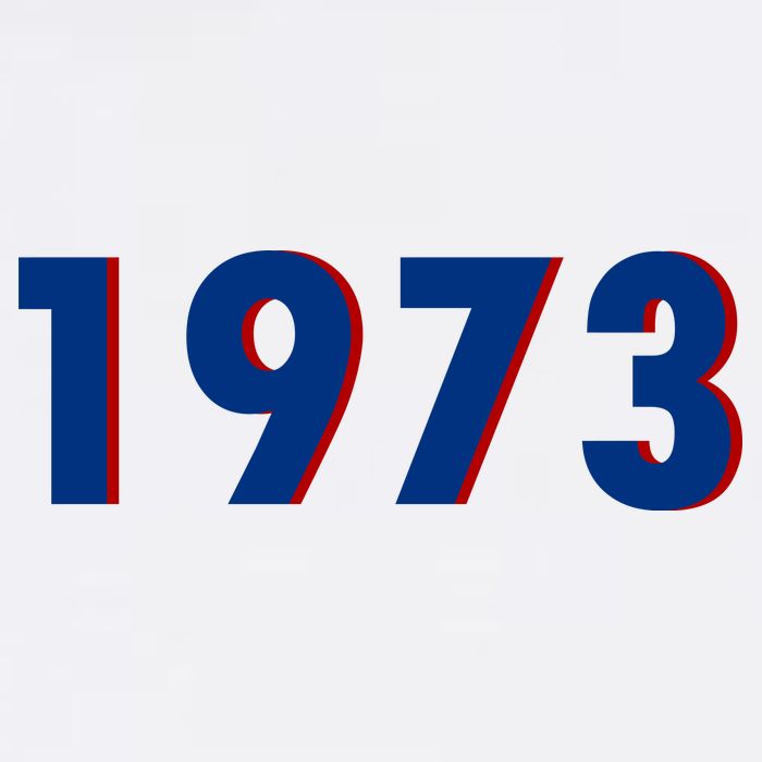 1973 Support Roe V Wade Pro Choice Pro Roe Women's Rights Premium T-Shirt