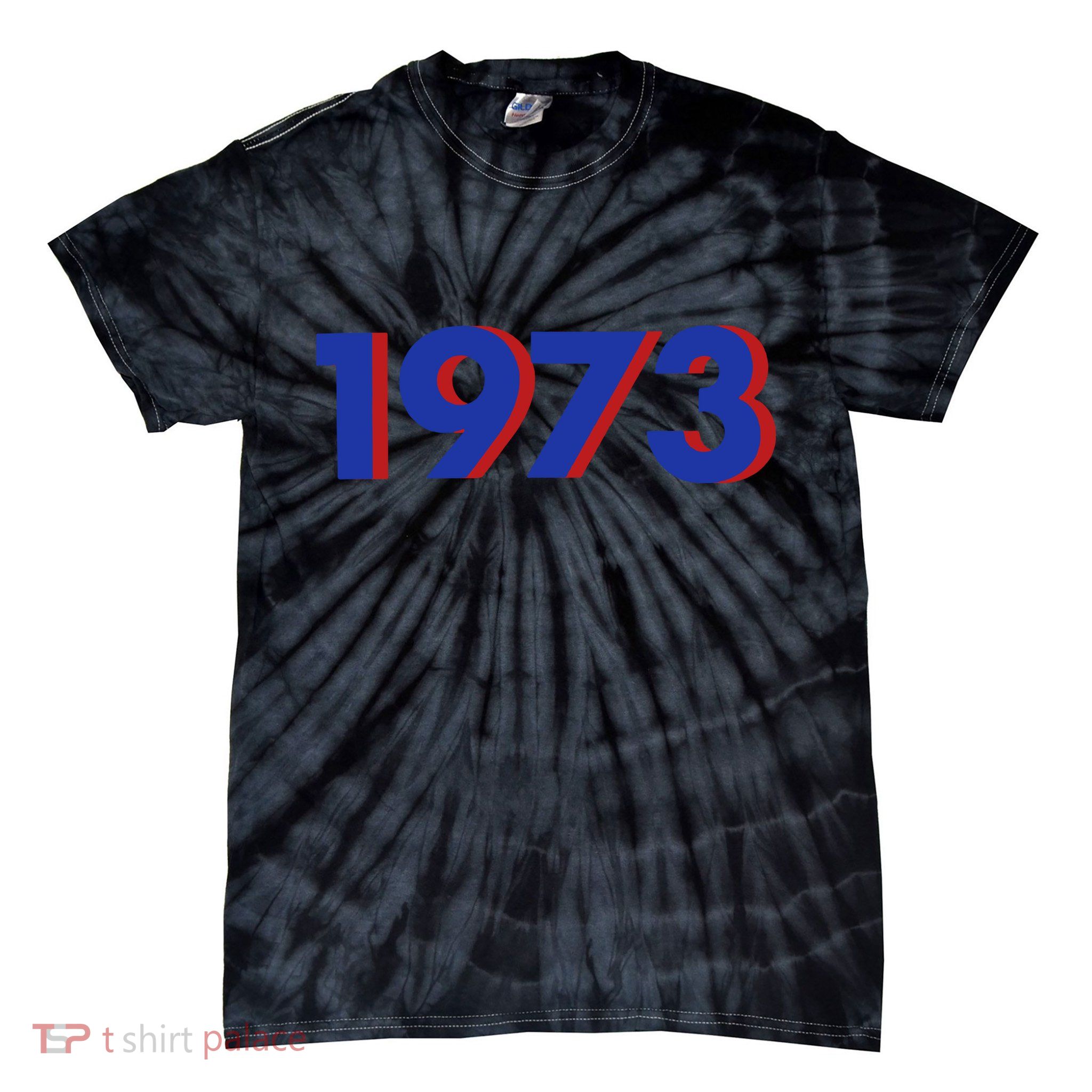 1973 Shirt 1973 Support Roe V Wade, Pro Choice, Protect Roe V Wade, Abortion Rights Are Human Rights Tie-Dye T-Shirt