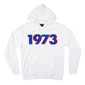 1973 Shirt 1973 Support Roe V Wade, Pro Choice, Protect Roe V Wade, Abortion Rights Are Human Rights Hoodie