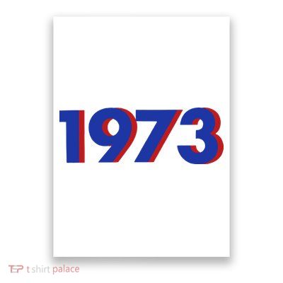 1973 Shirt 1973 Support Roe V Wade, Pro Choice, Protect Roe V Wade, Abortion Rights Are Human Rights Poster