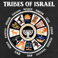 12 Twelve Tribes Of Israel Hebrew Israelite Judah Jerusalem 7 Panel Mesh Trucker Snapback Hat