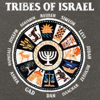 12 Twelve Tribes Of Israel Hebrew Israelite Judah Jerusalem Cotton Canvas Backpack