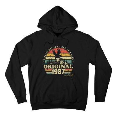 1987 Vintage Birthday Retro Limited Edition Hoodie