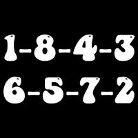 18436572 V8 Engine Firing Order Hoodie
