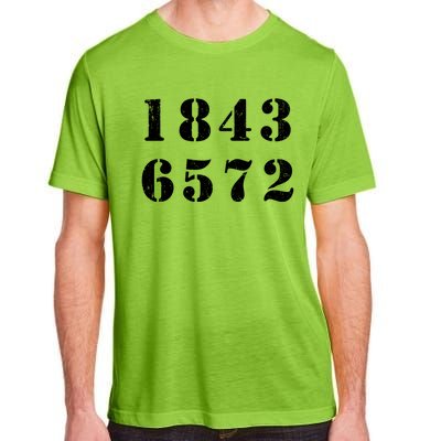 18436572 V8 Firing Order Gift Adult ChromaSoft Performance T-Shirt