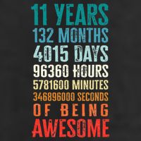 11 Years 132 Months Of Being Awesome 11th Birthday Gifts 7 Panel Mesh Trucker Snapback Hat