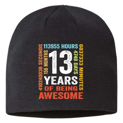 13 Years Old 13th Birthday Gift Vintage 156 Month Boy Girl Sustainable Beanie