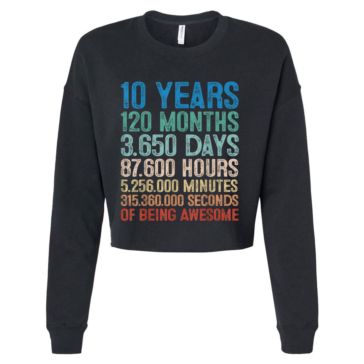 10 Year Old Gift Decorations 10th Bday Awesome 2013 Birthday Cropped Pullover Crew