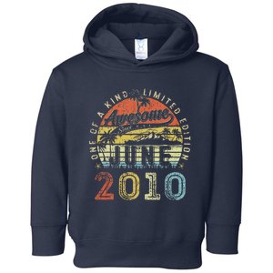 13 Year Old Awesome Since June 2010 13th Birthday Toddler Hoodie