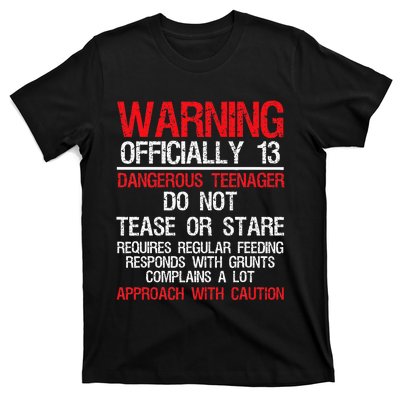 13 Years Old Warning Dangerous Teenager 13th Birthday T-Shirt