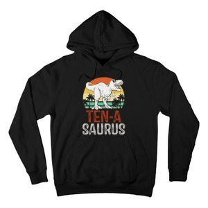 10 Years Old Dinosaur Trex Awesome Since 2013 Birthday Hoodie