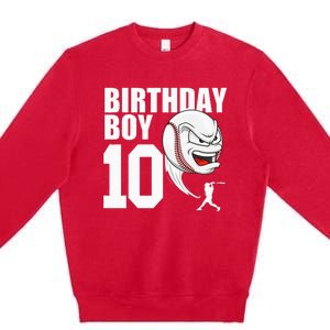 10 Year Old Baseball Birthday Party Theme 10th Gift For Boy Premium Crewneck Sweatshirt