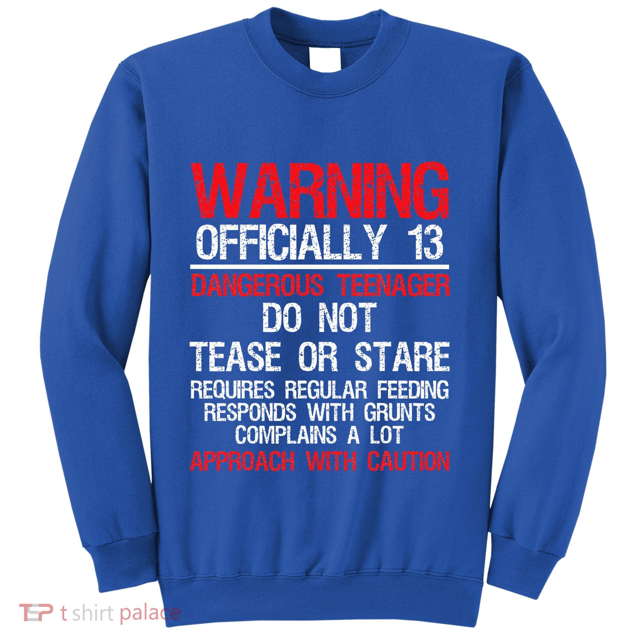 13 Years Old Warning Dangerous Teenager 13th Birthday Sweatshirt